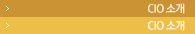 CIO �Ұ�